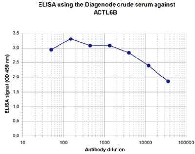 ELISA: ACTL6B Antibody [NBP3-18635]